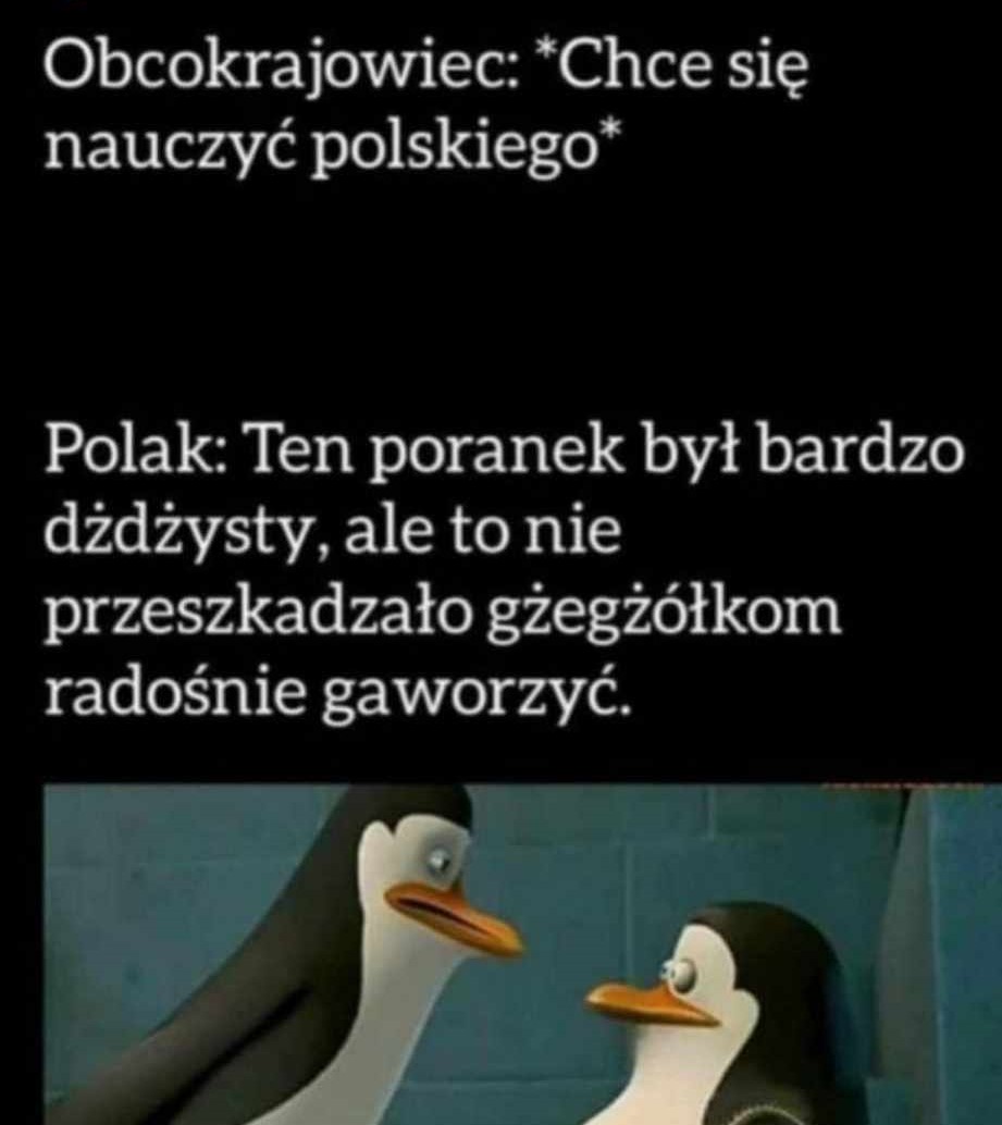 Język polski – najtrudniejszy na świecie?
